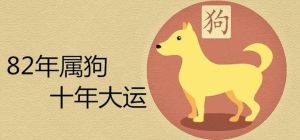 12月18日运势大爆发：狗虎鼠迎事业财运双丰收！