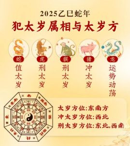 2025年生肖星座运势：白羊牛年狮子兔年飞跃亨通