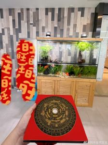 职场风水秘籍：布局提升运势，顺风顺水求职法