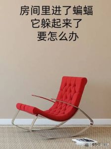 一招绝学驱蝙蝠，家居安宁有保障！