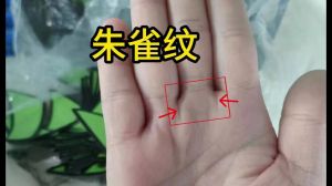 朱雀饰品风险孕妇慎戴，风水禁忌须知