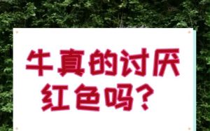 特别讨厌红色是怎么了，为啥突然烦红色？心里话可能藏这事儿里